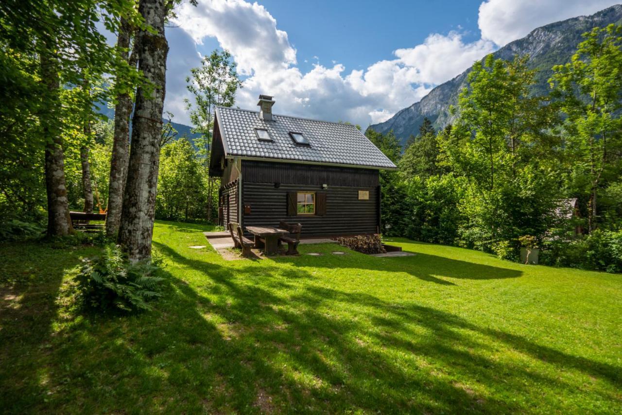 Chalet Tisa Bohinj Eksteriør billede