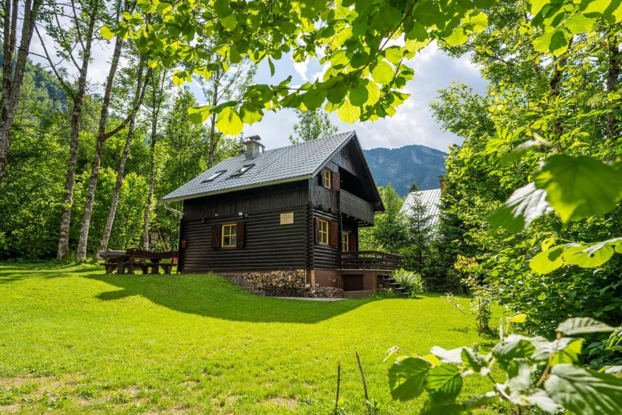 Chalet Tisa Bohinj Eksteriør billede